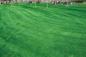 tkm002_109755