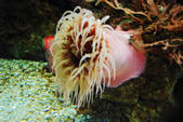 tkf002_109738