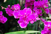 tkf002_110047