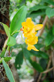 tkf002_110048