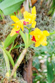 tkf002_110050