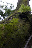 tkf002_110960