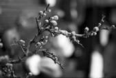 tkf002_111256