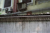 tkf002_111469