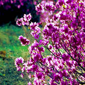 tkf002_111592