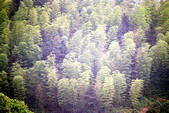 tkm002_110213