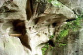 tkm002_110288