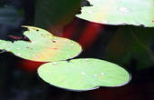 tkm002_111249