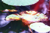 tkm002_111250