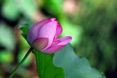tkm002_111251