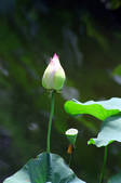 tkm002_111252