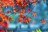 tkf002_112321