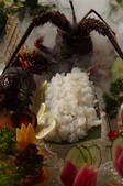 tkf002_128903