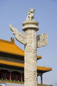 tkf005_2305683