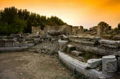 tkf005_2306124