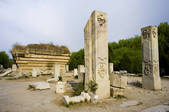 tkf005_2306127
