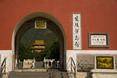 tkf005_2307444