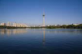 tkf005_2307911