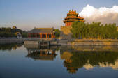 tkf005_2307931