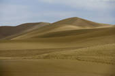 tkf005_2308565