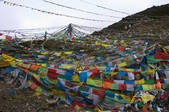 tkf005_2308692