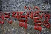 tkf005_2308708