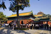 tkf005_2308928