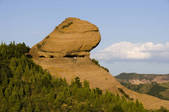 tkf005_2308979