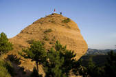tkf005_2308981