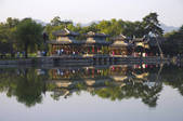 tkf005_2308985