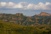 tkf005_2309094