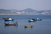 tkf005_2309105