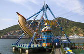 tkf005_2309167