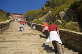 tkf005_2309424