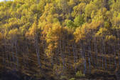 tkf005_2309509