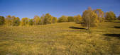 tkf005_2309511