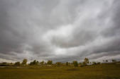 tkf005_2309520