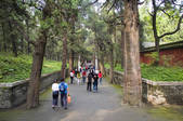 tkf005_2309787