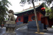 tkf005_2309857