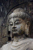 tkf005_2309881