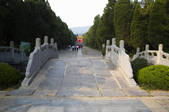 tkf005_2309997