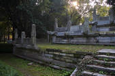 tkf005_2309999
