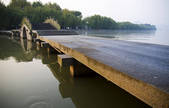 tkf005_2310320