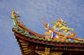 tkf005_2310554