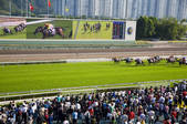 tkf005_2311145