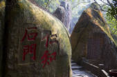 tkf005_2311587