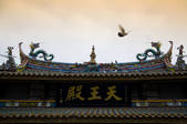 tkf005_2311739