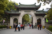 tkf005_2311754