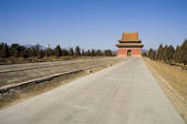 tkf005_2312188