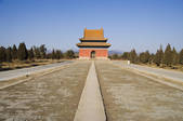 tkf005_2312189